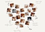 create amazing photo slideshow video like wedding birthday